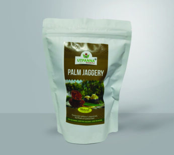 Palm Jaggery